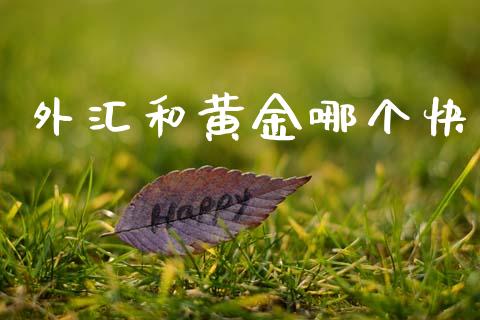 外汇和黄金哪个快_https://wap.lcpcjs.com_股港行情_第1张