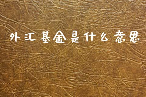 外汇基金是什么意思_https://wap.lcpcjs.com_全球经济_第1张