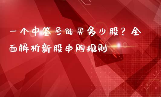 一个中签号能买多少股？全面解析新股申购规则_https://wap.lcpcjs.com_股港行情_第1张