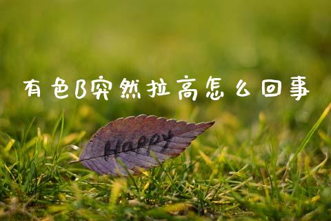 有色B突然拉高怎么回事_https://wap.lcpcjs.com_美股行情_第1张