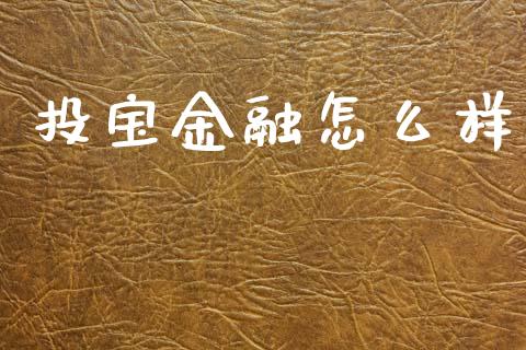 投宝金融怎么样_https://wap.lcpcjs.com_股港行情_第1张