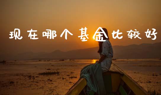 现在哪个基金比较好_https://wap.lcpcjs.com_外汇市场_第1张