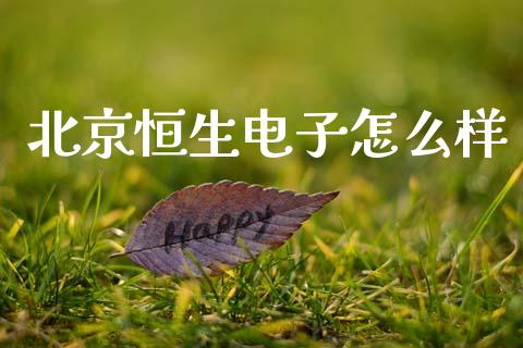 北京恒生电子怎么样_https://wap.lcpcjs.com_全球经济_第1张