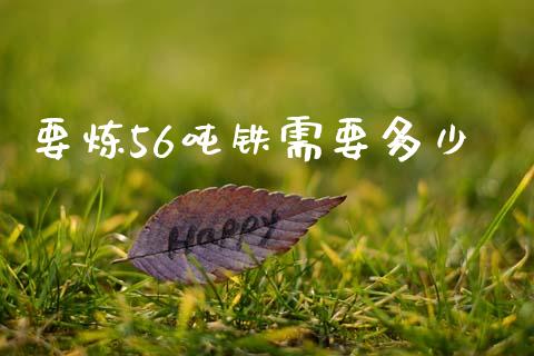 要炼56吨铁需要多少_https://wap.lcpcjs.com_美股行情_第1张