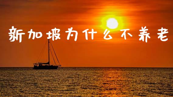 新加坡为什么不养老_https://wap.lcpcjs.com_美股行情_第1张