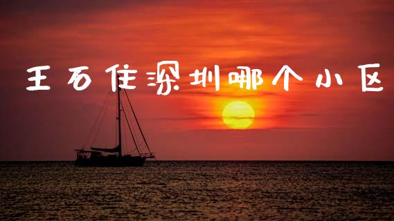 王石住深圳哪个小区_https://wap.lcpcjs.com_股港行情_第1张