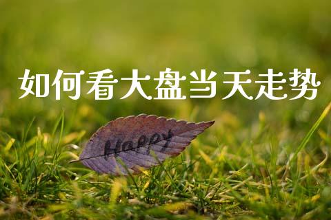 如何看大盘当天走势_https://wap.lcpcjs.com_美股行情_第1张