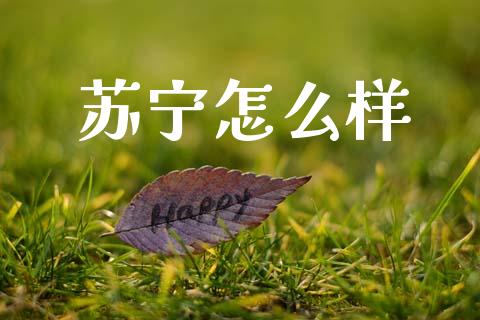 苏宁怎么样_https://wap.lcpcjs.com_外汇市场_第1张