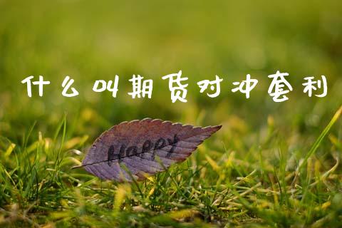 什么叫期货对冲套利_https://wap.lcpcjs.com_外汇市场_第1张