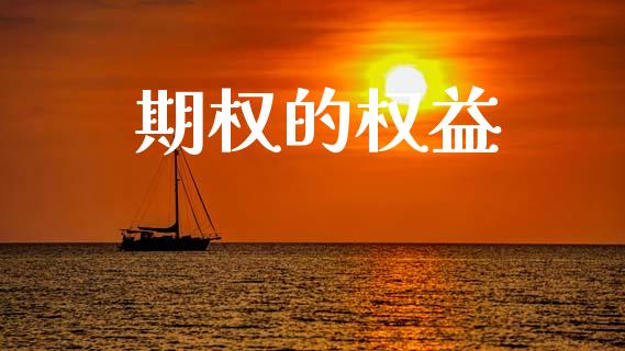 期权的权益_https://wap.lcpcjs.com_股港行情_第1张