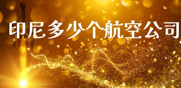 印尼多少个航空公司_https://wap.lcpcjs.com_外汇市场_第1张