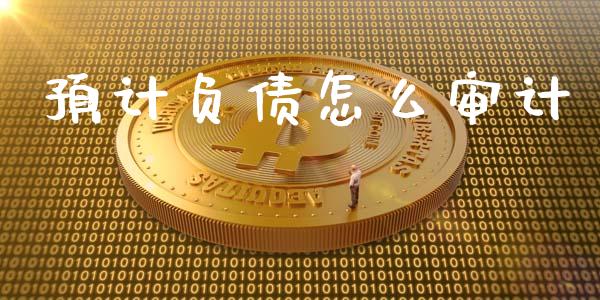 预计负债怎么审计_https://wap.lcpcjs.com_美股行情_第1张