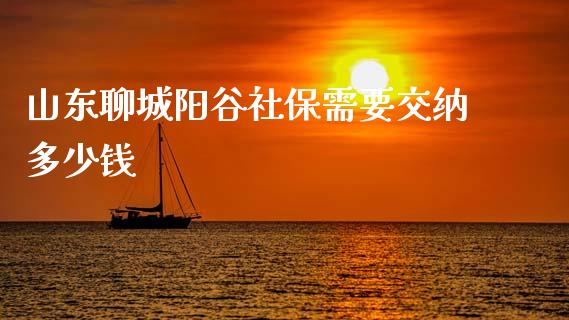 山东聊城阳谷社保需要交纳多少钱_https://wap.lcpcjs.com_外汇市场_第1张