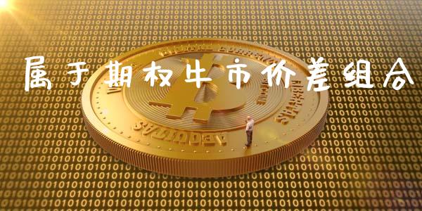 属于期权牛市价差组合_https://wap.lcpcjs.com_美股行情_第1张