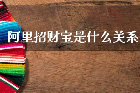 阿里招财宝是什么关系_https://wap.lcpcjs.com_美股行情_第1张