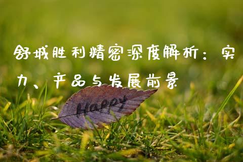 舒城胜利精密深度解析：实力、产品与发展前景_https://wap.lcpcjs.com_外汇市场_第1张