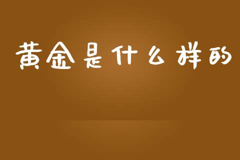 黄金是什么样的_https://wap.lcpcjs.com_全球经济_第1张