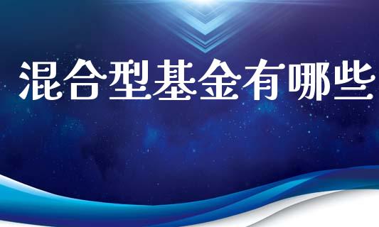 混合型基金有哪些_https://wap.lcpcjs.com_全球经济_第1张