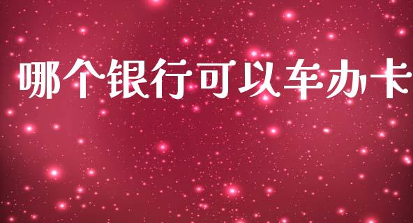 哪个银行可以车办卡_https://wap.lcpcjs.com_外汇市场_第1张