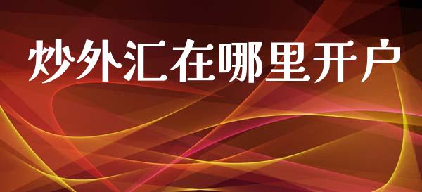 炒外汇在哪里开户_https://wap.lcpcjs.com_外汇市场_第1张