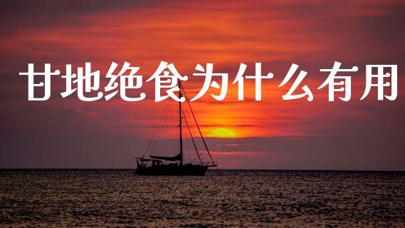 甘地绝食为什么有用_https://wap.lcpcjs.com_全球经济_第1张