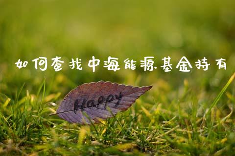 如何查找中海能源基金持有_https://wap.lcpcjs.com_美股行情_第1张