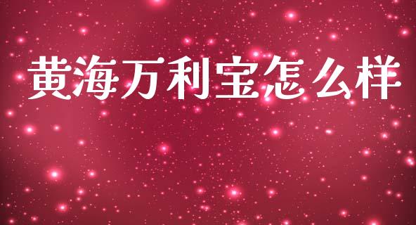 黄海万利宝怎么样_https://wap.lcpcjs.com_外汇市场_第1张