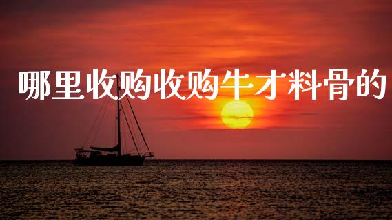哪里收购收购牛才料骨的_https://wap.lcpcjs.com_全球经济_第1张