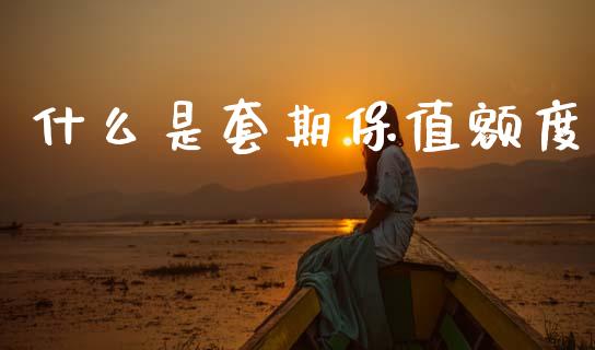 什么是套期保值额度_https://wap.lcpcjs.com_股港行情_第1张