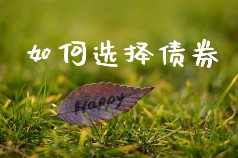 如何选择债券_https://wap.lcpcjs.com_全球经济_第1张