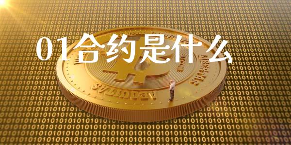 01合约是什么_https://wap.lcpcjs.com_全球经济_第1张