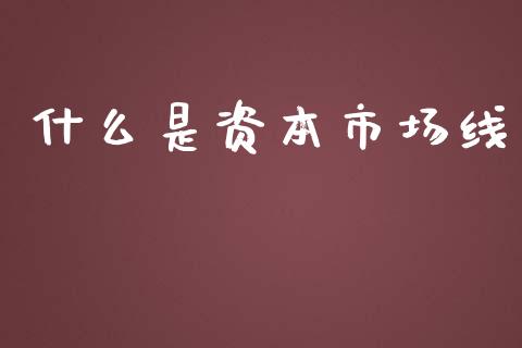 什么是资本市场线_https://wap.lcpcjs.com_股港行情_第1张