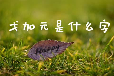 戈加元是什么字_https://wap.lcpcjs.com_全球经济_第1张