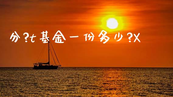 分?t基金一份多少?X_https://wap.lcpcjs.com_美股行情_第1张