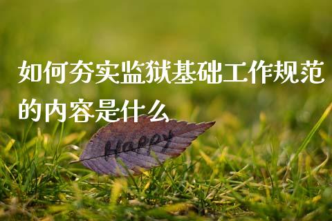 如何夯实监狱基础工作规范的内容是什么_https://wap.lcpcjs.com_全球经济_第1张
