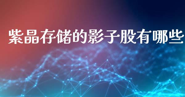 紫晶存储的影子股有哪些_https://wap.lcpcjs.com_美股行情_第1张
