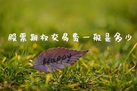 股票期权交易费一般是多少_https://wap.lcpcjs.com_美股行情_第1张