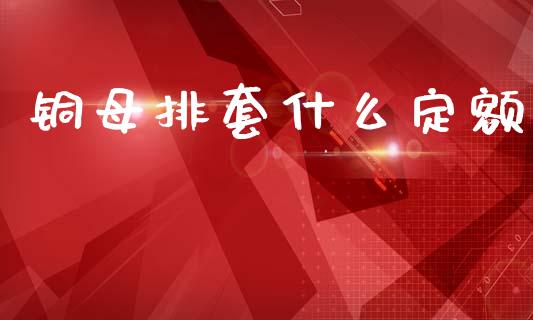 铜母排套什么定额_https://wap.lcpcjs.com_外汇市场_第1张