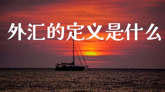 外汇的定义是什么_https://wap.lcpcjs.com_全球经济_第1张