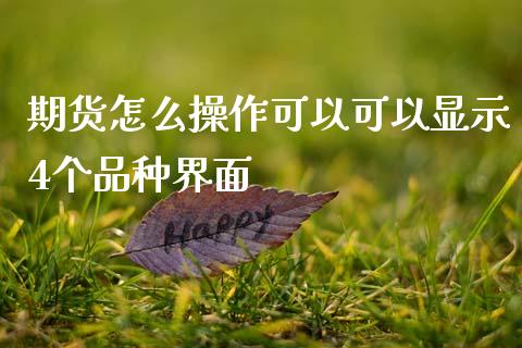 期货怎么操作可以可以显示4个品种界面_https://wap.lcpcjs.com_全球经济_第1张