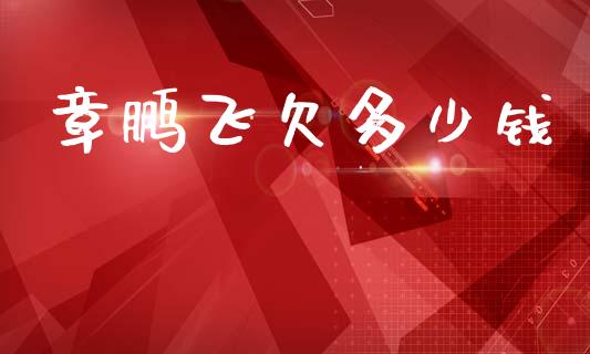 章鹏飞欠多少钱_https://wap.lcpcjs.com_全球经济_第1张