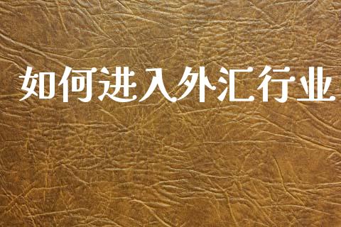 如何进入外汇行业_https://wap.lcpcjs.com_美股行情_第1张