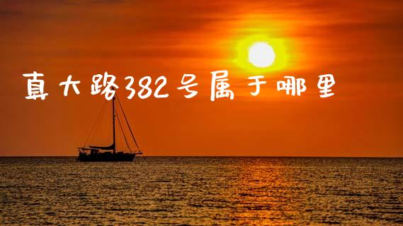 真大路382号属于哪里_https://wap.lcpcjs.com_全球经济_第1张