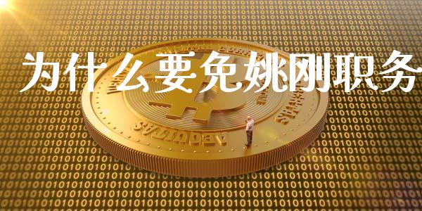 为什么要免姚刚职务_https://wap.lcpcjs.com_外汇市场_第1张