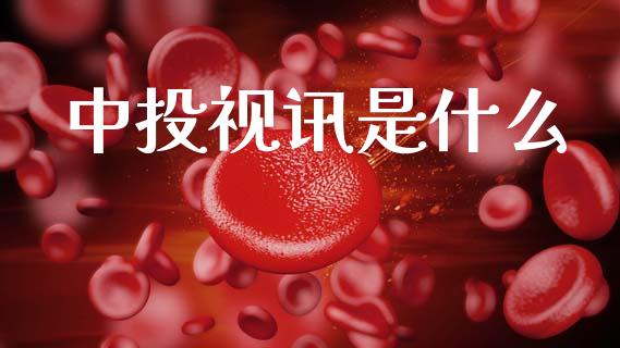 中投视讯是什么_https://wap.lcpcjs.com_美股行情_第1张