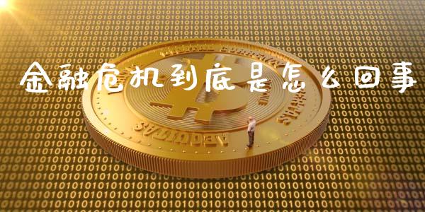 金融危机到底是怎么回事_https://wap.lcpcjs.com_外汇市场_第1张