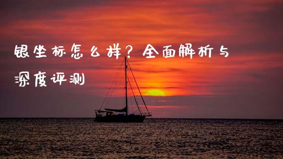 银坐标怎么样？全面解析与深度评测_https://wap.lcpcjs.com_外汇市场_第1张