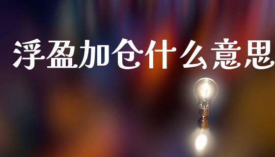 浮盈加仓什么意思_https://wap.lcpcjs.com_外汇市场_第1张