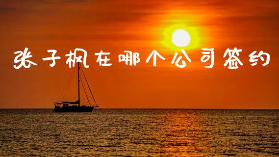 张子枫在哪个公司签约_https://wap.lcpcjs.com_美股行情_第1张