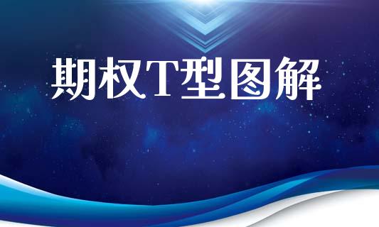 期权T型图解_https://wap.lcpcjs.com_股港行情_第1张